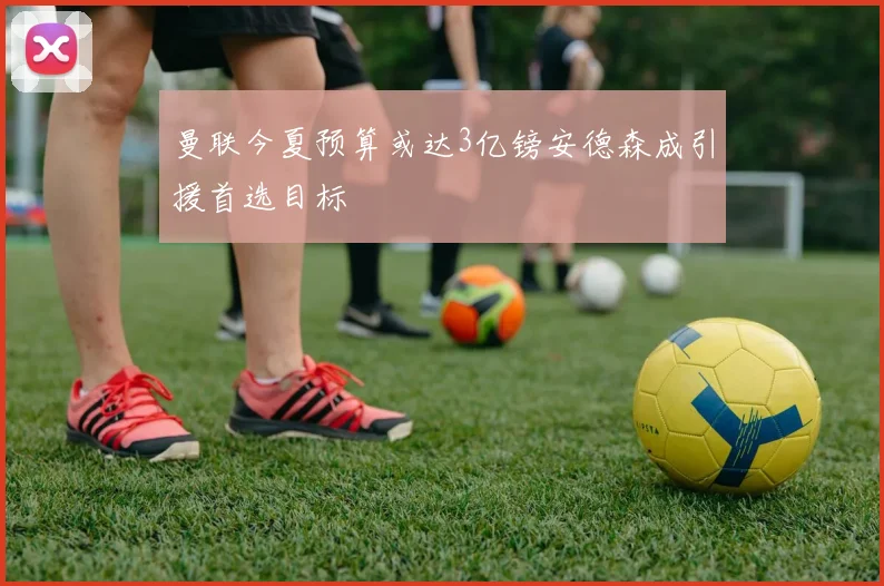 曼联今夏预算或达3亿镑安德森成引援首选目标