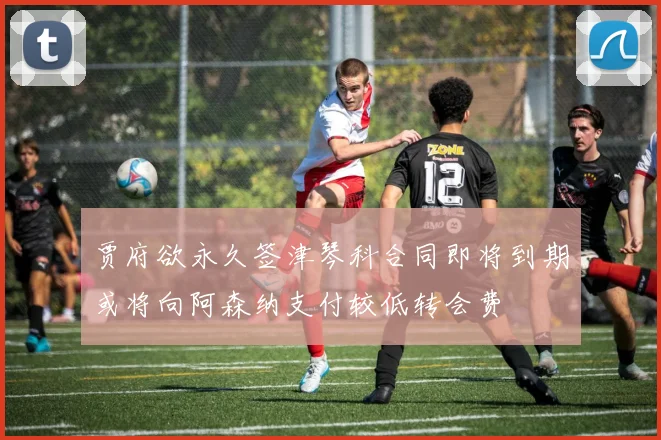 贾府欲永久签津琴科合同即将到期或将向阿森纳支付较低转会费