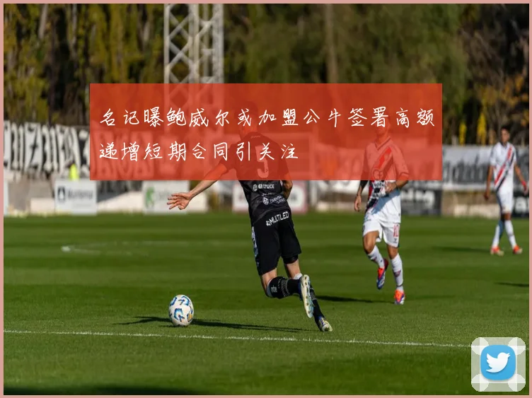 名记曝鲍威尔或加盟公牛签署高额递增短期合同引关注